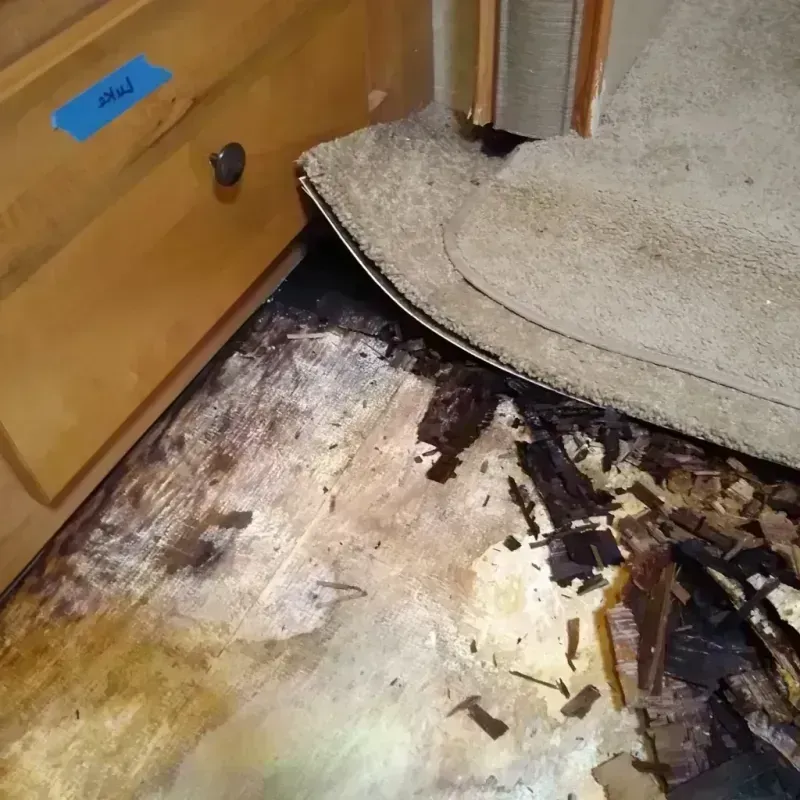 Wood Floor Water Damage in Norland, FL